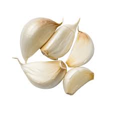 ابو بكر ثوم فصوص بيور