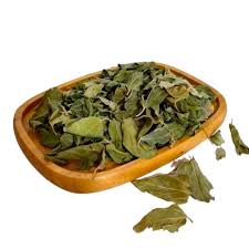 ورق نبا/سدر