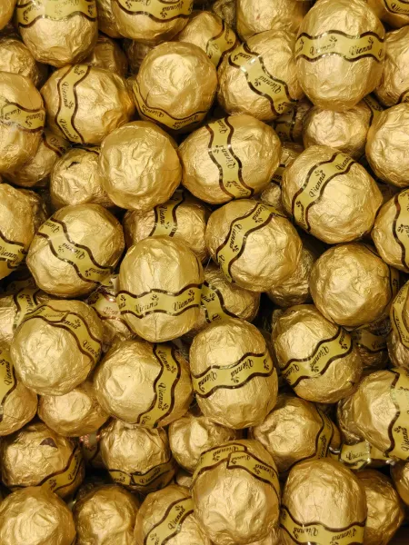 فيينا