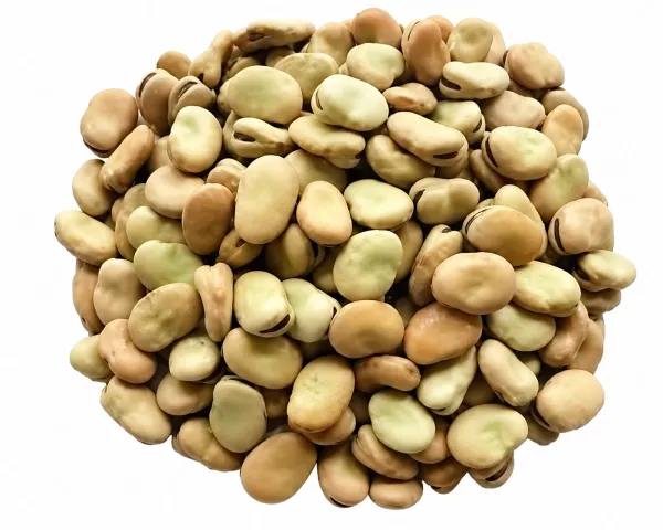 فول بلدي حصى نمره1